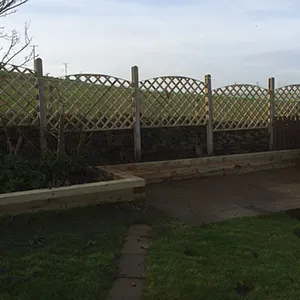 a dog standing in a yard next to a fence